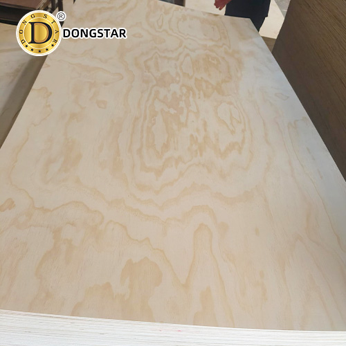 China 1220x2440mm Plywood