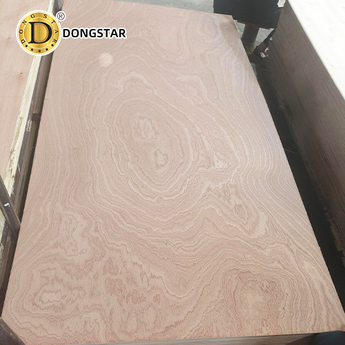 China 1250x2500mm Plywood