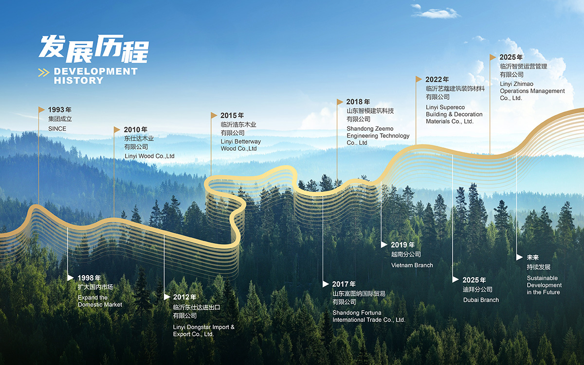 Development History of Dongstar Group