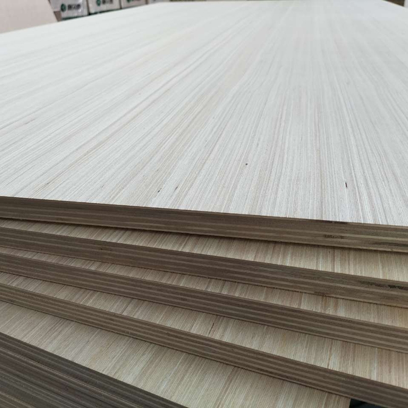 EV plywood.1