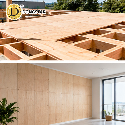 Plywood for Project